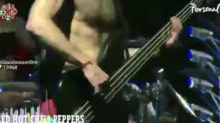 Red Hot Chili Peppers - Look Around - Lollapalooza Argentina 2014