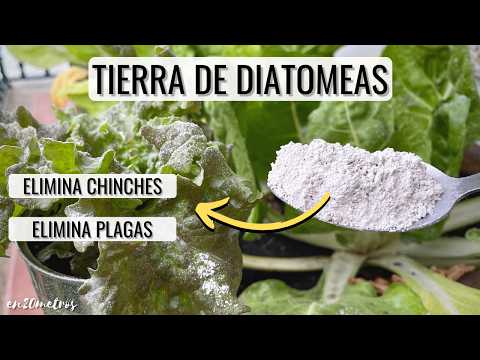 Part of a video titled Qué es la TIERRA DE DIATOMEAS: insecticida, fertilizante y ... - YouTube