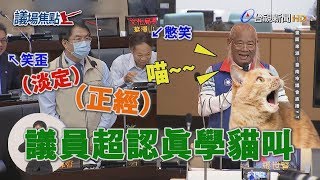 [問卦] ＝.＝ 貓的叫聲分的出公母欸？！