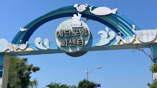 🇰🇷韓国仁川散歩ライブLIVE ‼韓国ライブドライブ