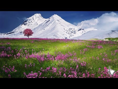 2020-0719AM - Pastor Harold Beckett - A Certain Sound