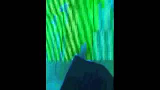 Vidéo clip "The B city"