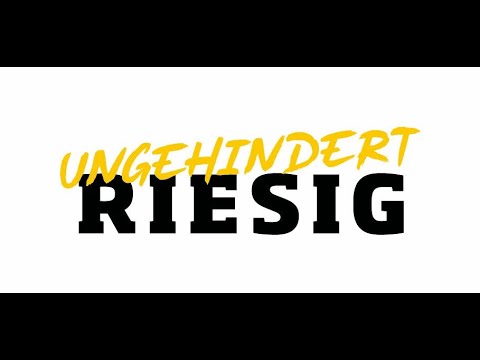 #ungehindertRIESIG: 𝗗𝗲𝘂𝘁𝘀𝗰𝗵𝗲𝗿 𝗚𝗲𝗵ö𝗿𝗹𝗼𝘀𝗲𝗻-𝗦𝗽𝗼𝗿𝘁𝘃𝗲𝗿𝗯𝗮𝗻𝗱 (DG-SV) im Interview