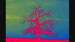 Harold Budd - The Room of Secondary Light