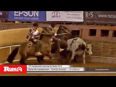 Rancagua 2018: Criadero Peleco con Gustavo Valdebenito y Cristóbal Cortina en Compadre y Caballero