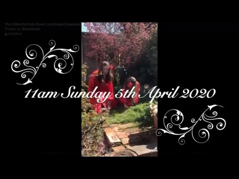 Shambush: The Ultimate Kate Bush Lockdown Experience