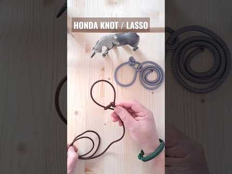 How to Make Lasso with Honda Knot #knot #shorts #lasso