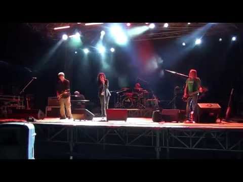 Ex CSI - Emilia Paranoica, live@Music for Emergency (Cenate Sotto, BG) 16.07.2014