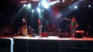 Ex CSI - Emilia Paranoica, live@Music for Emergency (Cenate Sotto, BG) 16.07.2014