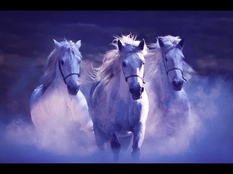 APASSIONATA "Gemeinsam bis ans Ende der Welt" in Hannover