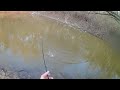 Wade Walk Paddle Whatever It Takes