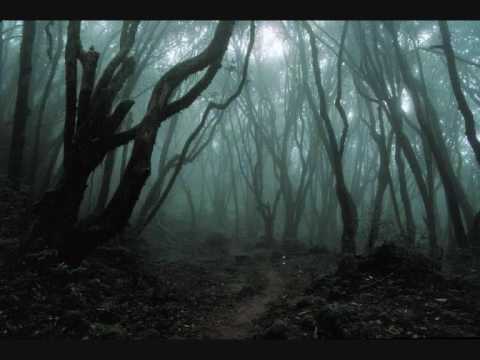 Midnight Syndicate - Dark Forest
