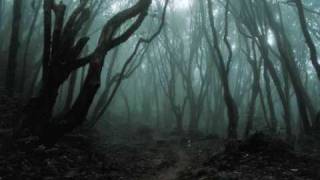 Midnight Syndicate - Dark Forest