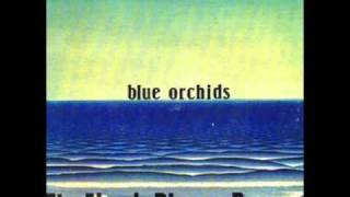 BLUE ORCHIDS the flood 1980