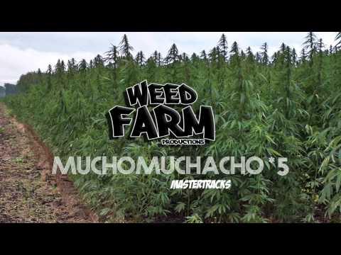 [MASTER TRACK *5] MUCHO MUCHACHO (Weed Farm Productions)