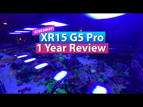 EcoTech Marine Radion G5 Pro 1 Year Review & Giveaway!