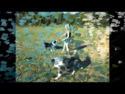 Borde & Bady-21.8.-23.8.2015|The best day of my life