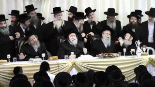 ויזניץ- הכתרה