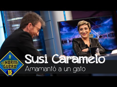 Susi Caramelo: "Amamanté a un gato con mi propia teta sin leche durante cuatro días" - El Hormiguero