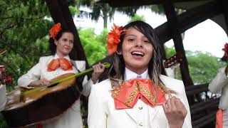 Juan Gabriel - Ha llegado un Ángel Mariachi Femenino