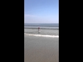 IMG 1162
