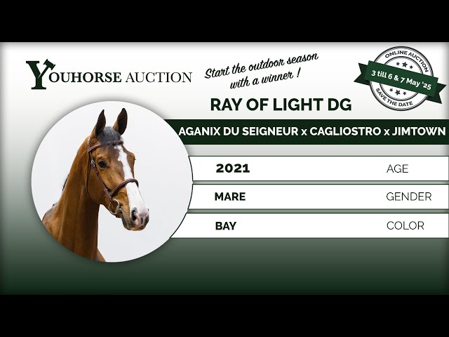 Ray Of Light DG