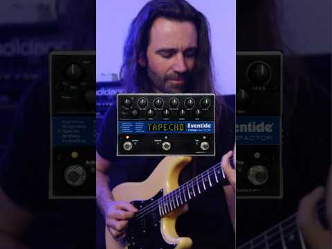 Eventide TimeFactor 2010s - Black Bild 5