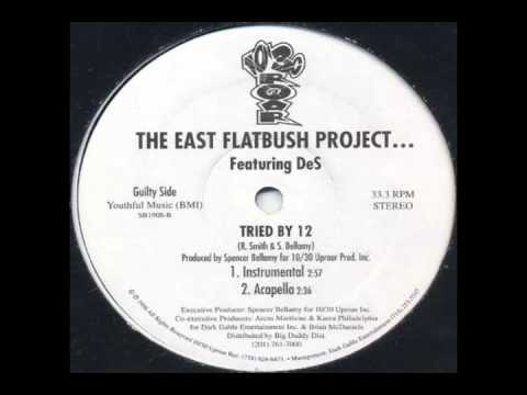 East Flatbush Project - Tried By 12 (Instrumental)