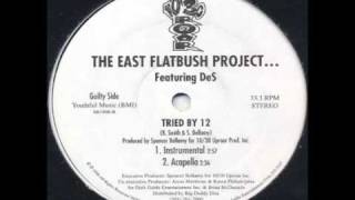 East Flatbush Project - Tried By 12 (Instrumental)