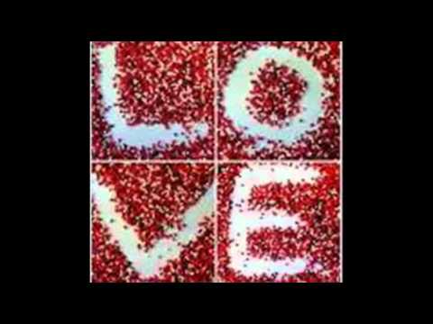 Palagot sa Kontra by Phylum (Tagalog Version) Official Music video