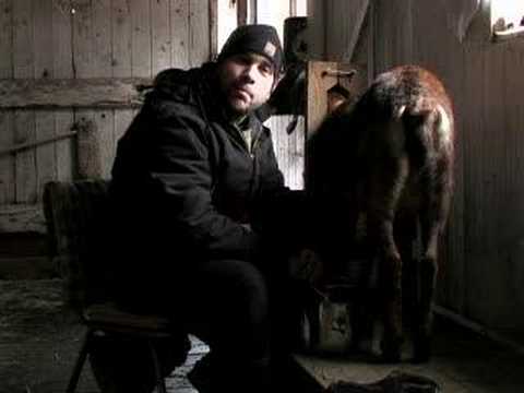 The Hollywood Farmer (Episode 007)