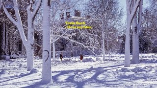 백예린(Yerin Baek) - Dear my blue