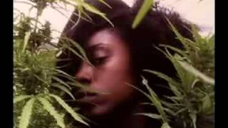 Jah Lion - Columbia Colly