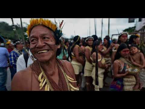 Paçoca choro , Celso Machado, Performed by Shady Nagy