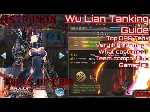 TALES OF ERIN Wu Lian Tanking Guide - Tank Setups & Costumes - Level 100 Hero Stats - Top DPS Tank