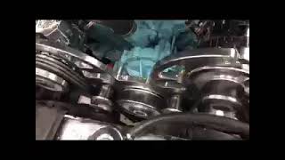 CVF Racing Wraptor Serpentine Belt Customer Install