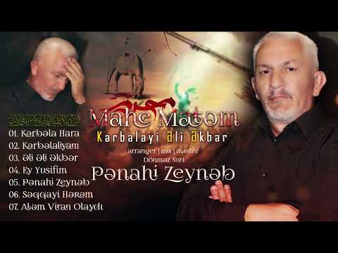 Kerbelayi Eli Ekber - Penahi Zeyneb (Album)