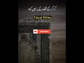 Allah Meri Dua Qubool Nahi Kar Raha Ye Kabhi Na Kehna Shorts Dua Allah Viral Trending Islamic