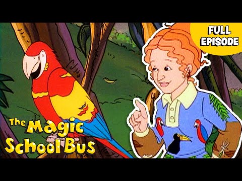 In the Rainforest | Rainforest Ecology | Full Episode | The Magic School Bus