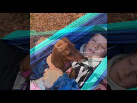 Familjen Friluft kokar kaffe med kanel!