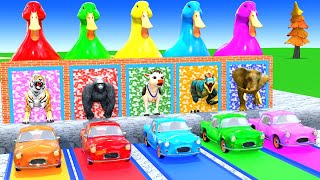 Long Slide Game with Cow Elephant Gorilla Hippopotamus Tiger 3d Animal Game Funny 3d Animals