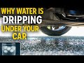 Why WATER Is Dripping Under Your Car What That Water Drip Under Your Vehicle Actually Means