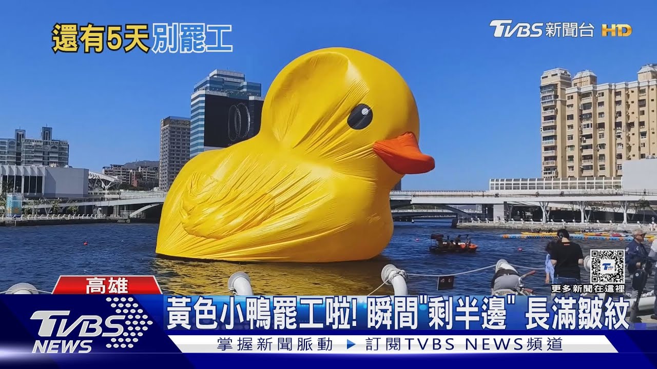 出事了鴨!黃色小鴨「半邊洩氣」長滿皺紋 6級風惹的禍