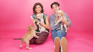 Zendaya and Tom Holland: The Puppy Interview