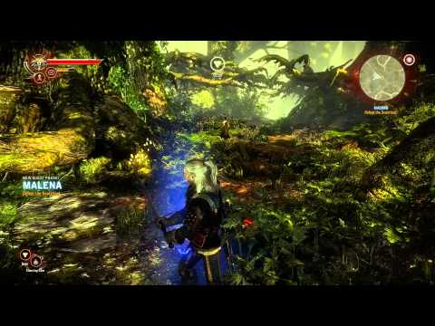 Let's Play The Witcher 2 - Part 28 - Malena II [BLIND] (PC ...