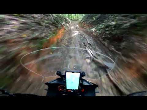 Petrolhead life by Hajmat Garage