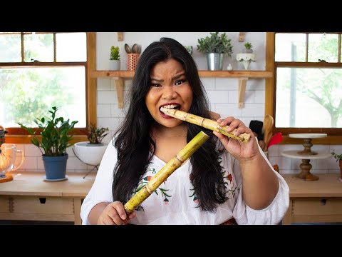 download lagu mp3 mp4 Sugar Cane, download mp3 Sugar Cane free download mp3, download mp3 Sugar Cane
