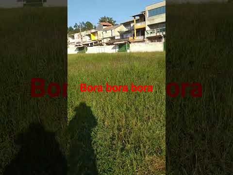 começando a massagem no campo municipal Pirapora do bom Jesus vila Nova