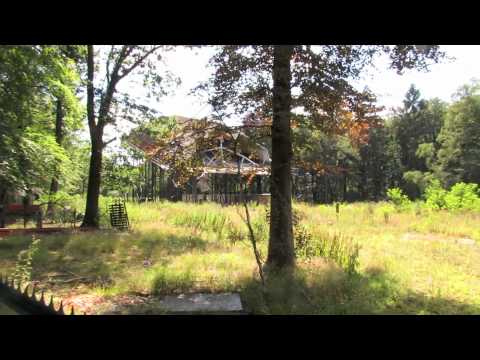 Greenplease : Casablanca 's-Gravenwezel