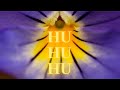 Powerful HU Chanting 963 Hz
